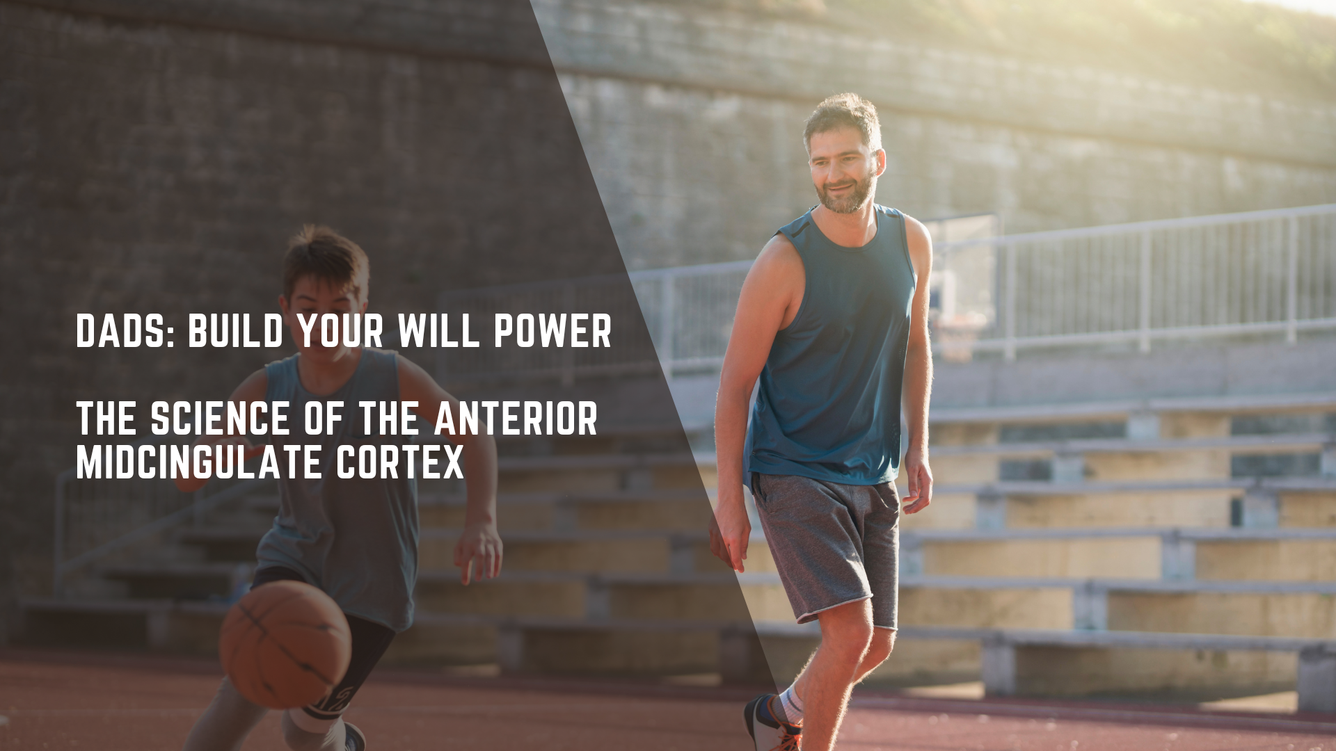 Dads: Build Your Will Power - The Science of the Anterior Midcingulate Cortex