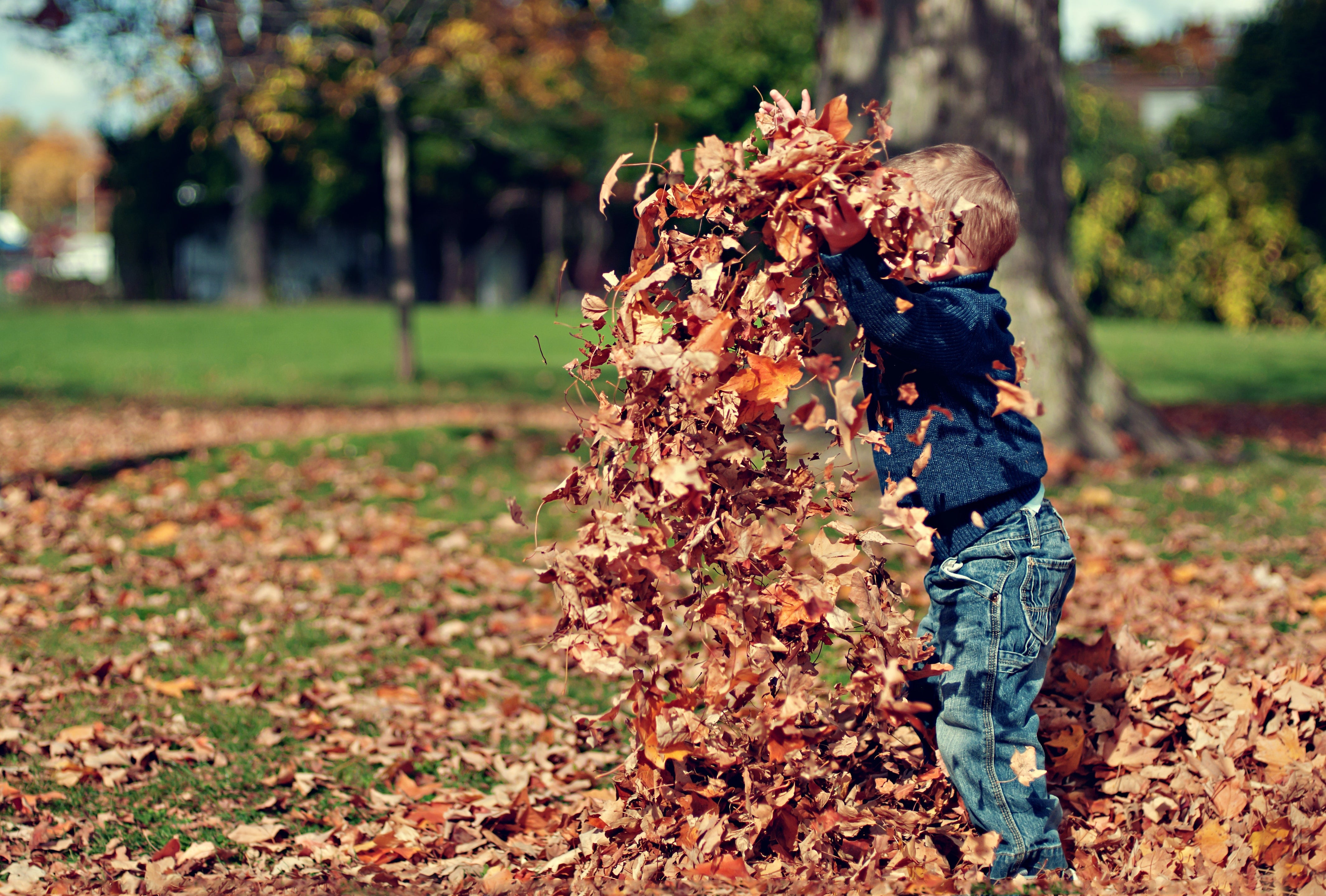 Top Autumn Activities for Dads and Their Kids in the UK